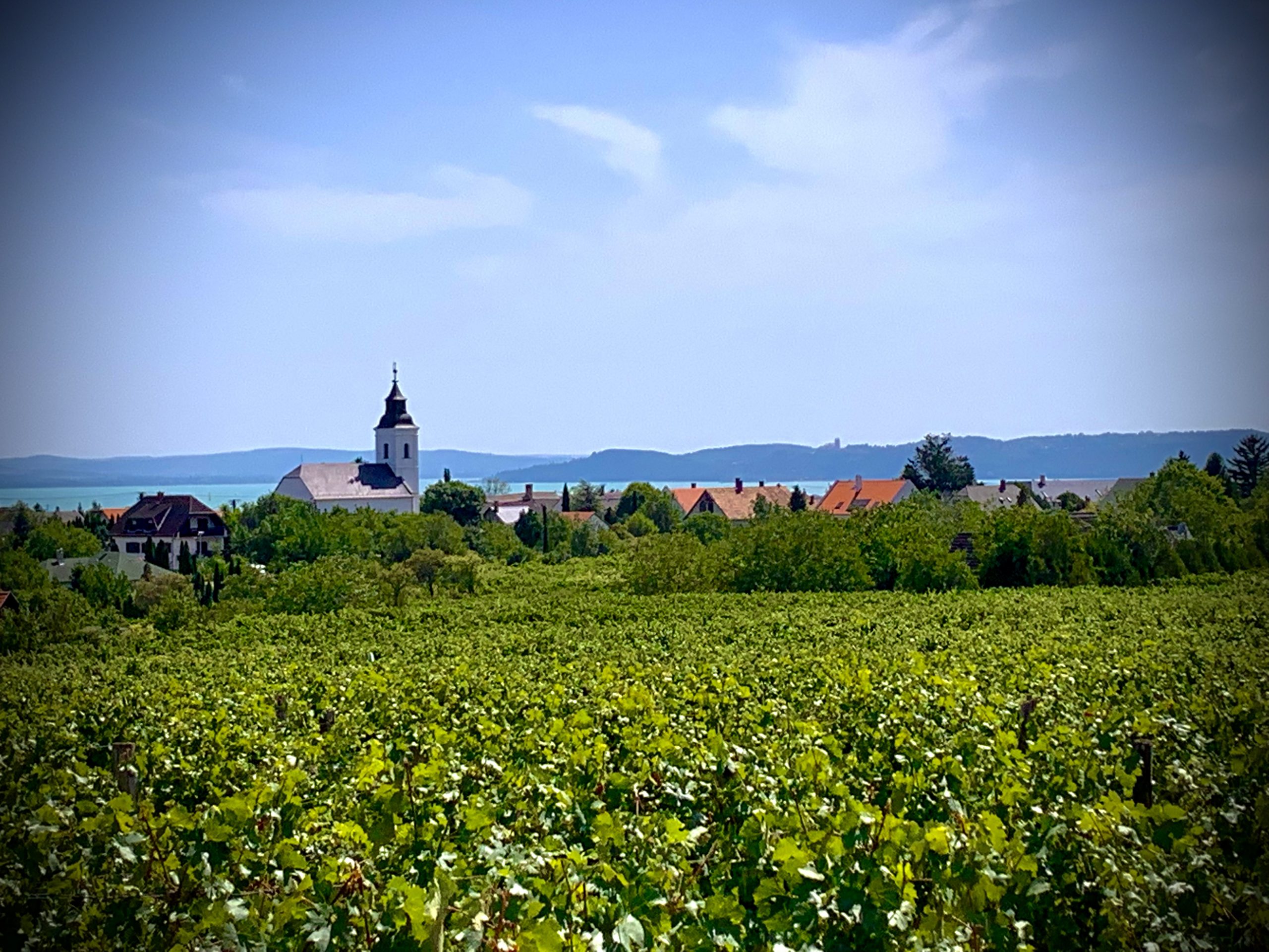 Hungary, Csopak, lake Balaton best dental treatment, dr Smile